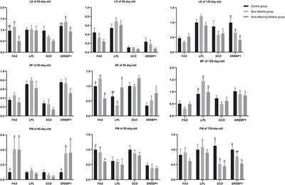 Impacts of Betaine Addition in Sow and Piglet's Diets on Growth Performance, Plasma Hormone, and Lipid Metabolism of Bama Mini-Pigs